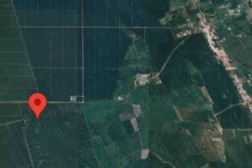 Tanah Pertanian Strategik hampir 2 ekar Mukim Penor , Kuantan