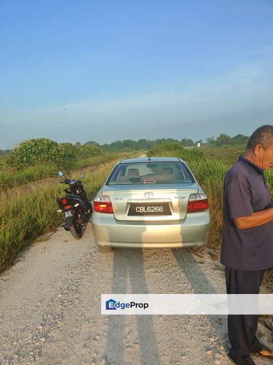 Tanah Paya Padi Di Pahang Tua 1 ekar ingin di Jual RM45000, Pahang, Pekan