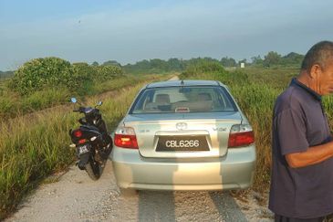 Tanah Paya Padi Di Pahang Tua 1 ekar ingin di Jual RM45000