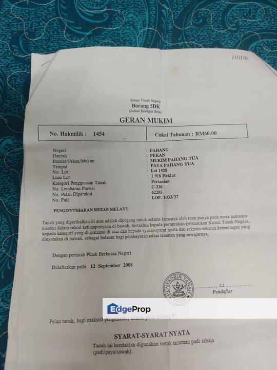 Tanah Paya Padi Di Pahang Tua 1 ekar ingin di Jual RM45000, Pahang, Pekan