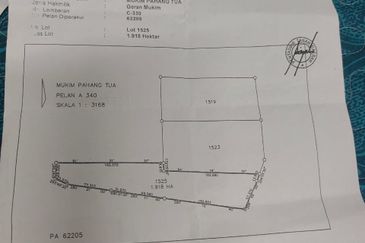 Tanah Paya Padi Di Pahang Tua 1 ekar ingin di Jual RM45000