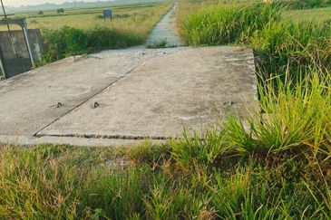 Tanah Paya Padi Di Pahang Tua 1 ekar ingin di Jual RM45000