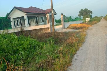 Tanah Paya Padi Di Pahang Tua 1 ekar ingin di Jual RM45000