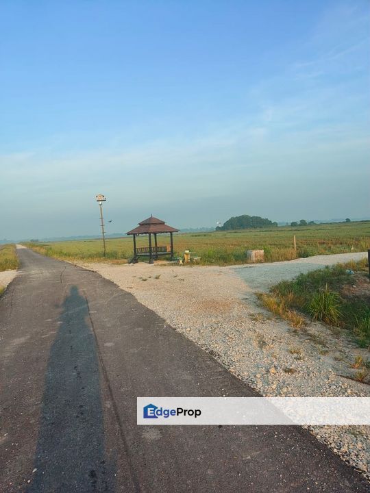 Tanah Paya Padi Di Pahang Tua 1 ekar ingin di Jual RM45000, Pahang, Pekan