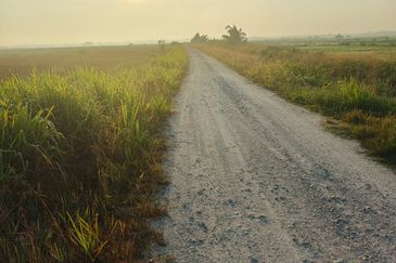 Tanah Paya Padi Di Pahang Tua 1 ekar ingin di Jual RM45000