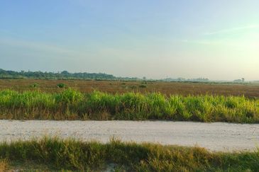 Tanah Paya Padi Di Pahang Tua 1 ekar ingin di Jual RM45000