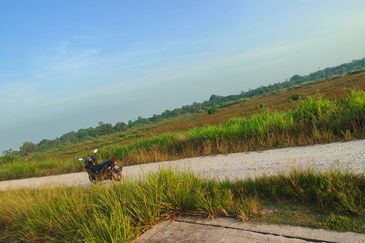 Tanah Paya Padi Di Pahang Tua 1 ekar ingin di Jual RM45000