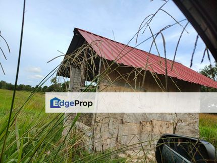  Tanah Sawah Termurah di Pekan 2 Ekar Rm 85000.00, Pahang, Pekan