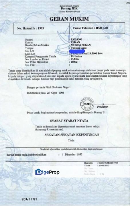 Lot PT 1136, Tanjung Agas,  Mukim Pekan, Pahang, Pahang, Pekan