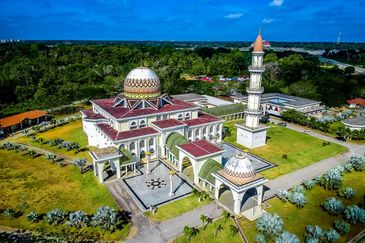 Agricultural Land, Tepi Masjid Sultan Ahmad Shah Pekan 