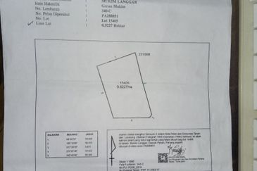 Agricultural Land, Tepi Masjid Sultan Ahmad Shah Pekan 