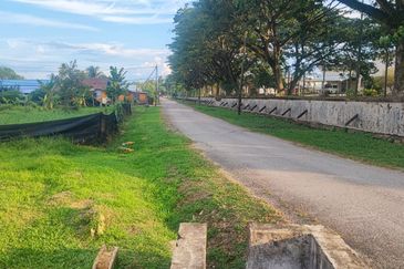 Agricultural Land, Tepi Masjid Sultan Ahmad Shah Pekan 