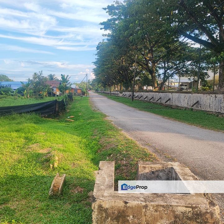 Agricultural Land, Tepi Masjid Sultan Ahmad Shah Pekan , Pahang, Pekan
