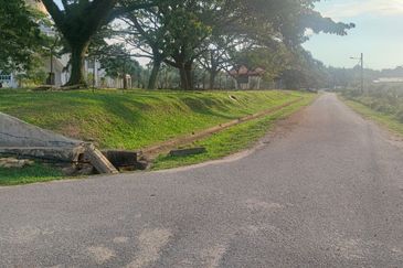 Agricultural Land, Tepi Masjid Sultan Ahmad Shah Pekan 