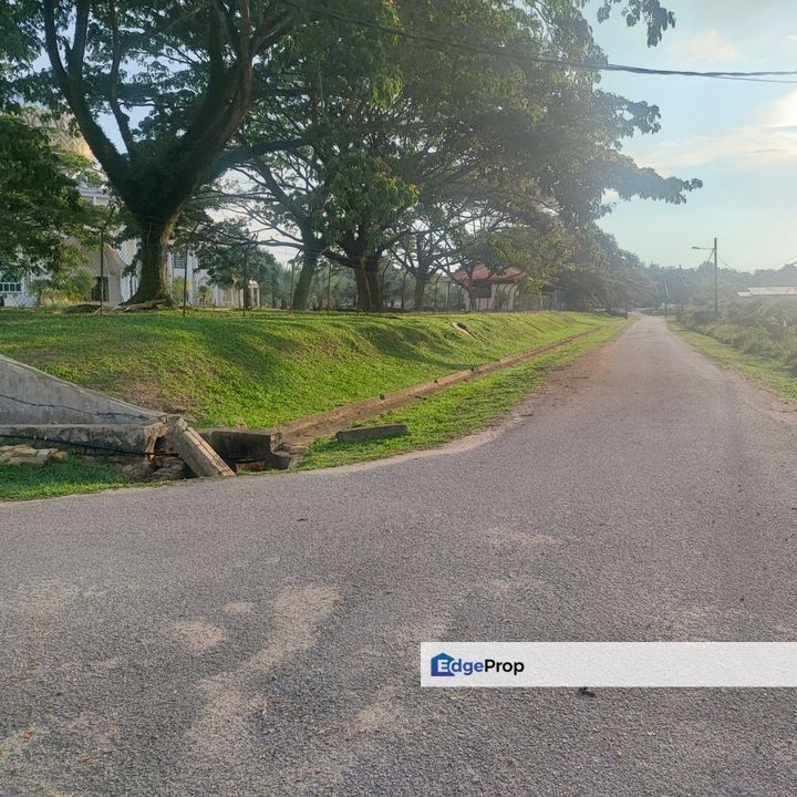 Agricultural Land, Tepi Masjid Sultan Ahmad Shah Pekan , Pahang, Pekan