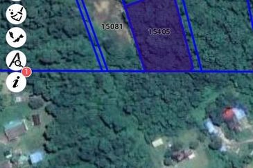 Agricultural Land, Tepi Masjid Sultan Ahmad Shah Pekan 