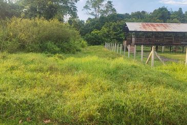 Agricultural Land, Tepi Masjid Sultan Ahmad Shah Pekan 
