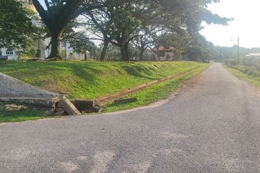 Agricultural Land, Tepi Masjid Sultan Ahmad Shah Pekan 