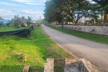 Agricultural Land, Tepi Masjid Sultan Ahmad Shah Pekan 