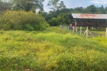 Agricultural Land, Tepi Masjid Sultan Ahmad Shah Pekan 