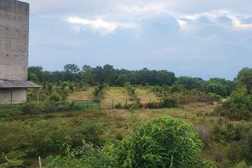 Agricultural Land, Permatang Perawan   Sesuai Bagunan Sarang Burung Walit