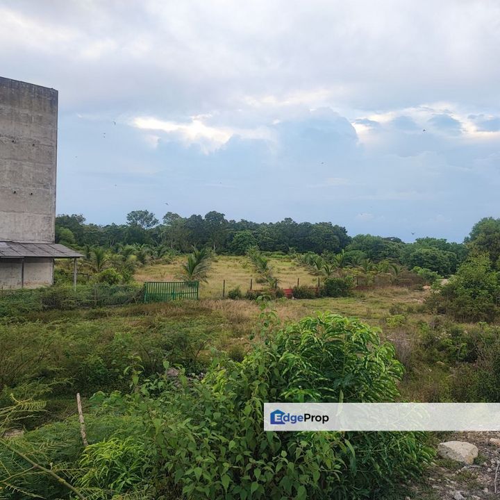 Agricultural Land, Permatang Perawan   Sesuai Bagunan Sarang Burung Walit, Pahang, Pekan
