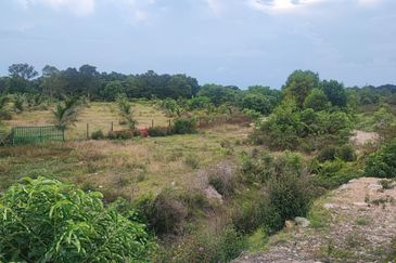 Agricultural Land, Permatang Perawan   Sesuai Bagunan Sarang Burung Walit