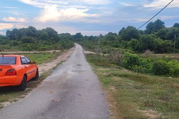 Agricultural Land, Permatang Perawan   Sesuai Bagunan Sarang Burung Walit