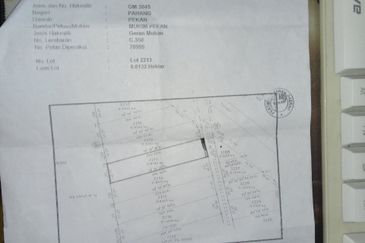 Agricultural Land, Permatang Perawan   Sesuai Bagunan Sarang Burung Walit