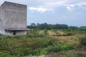 Agricultural Land, Permatang Perawan   Sesuai Bagunan Sarang Burung Walit