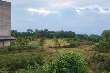 Agricultural Land, Permatang Perawan   Sesuai Bagunan Sarang Burung Walit