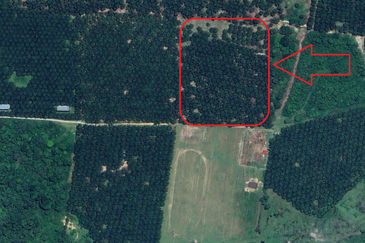 Tanah Kelapa Sawit Berdekatan Dengan Airport Kuantan