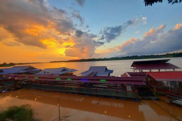  Padang Rumbia,  Mukim Pulau Manis Daerah Pekan Tanah Sesuai Untuk Bina Rumah Rakit Atau Sangkar Ikan Air Tawar