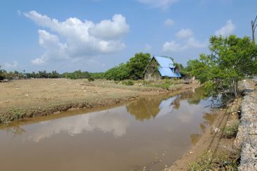 Tanah ini sesuai untuk peternakan ikan air tawar 