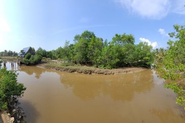 Tanah ini sesuai untuk peternakan ikan air tawar 