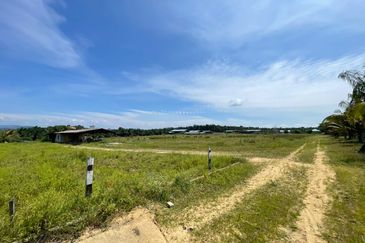 Agricultural Land,  Ternakan Lembu Dan Kambing Secara Komersial