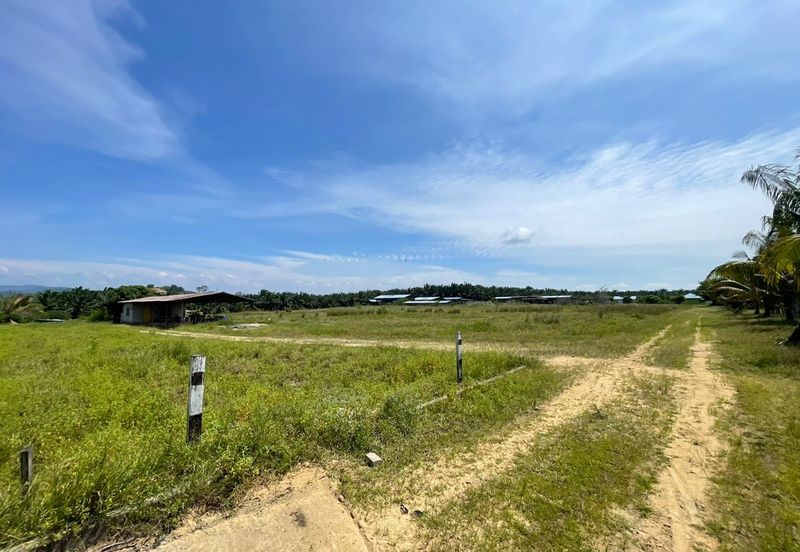 Agricultural Land,  Ternakan Lembu Dan Kambing Secara Komersial