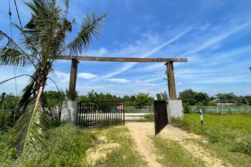 Agricultural Land,  Ternakan Lembu Dan Kambing Secara Komersial