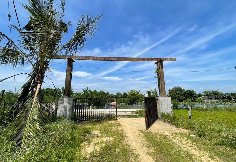 Agricultural Land,  Ternakan Lembu Dan Kambing Secara Komersial