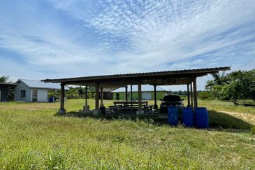 Agricultural Land,  Ternakan Lembu Dan Kambing Secara Komersial