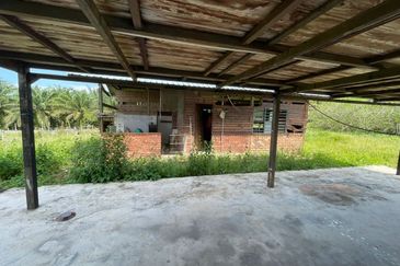 Agricultural Land,  Ternakan Lembu Dan Kambing Secara Komersial