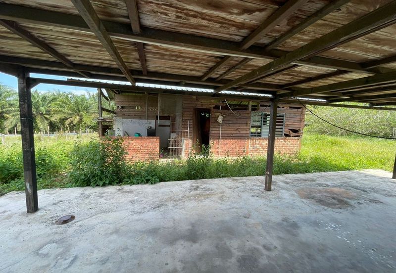 Agricultural Land,  Ternakan Lembu Dan Kambing Secara Komersial