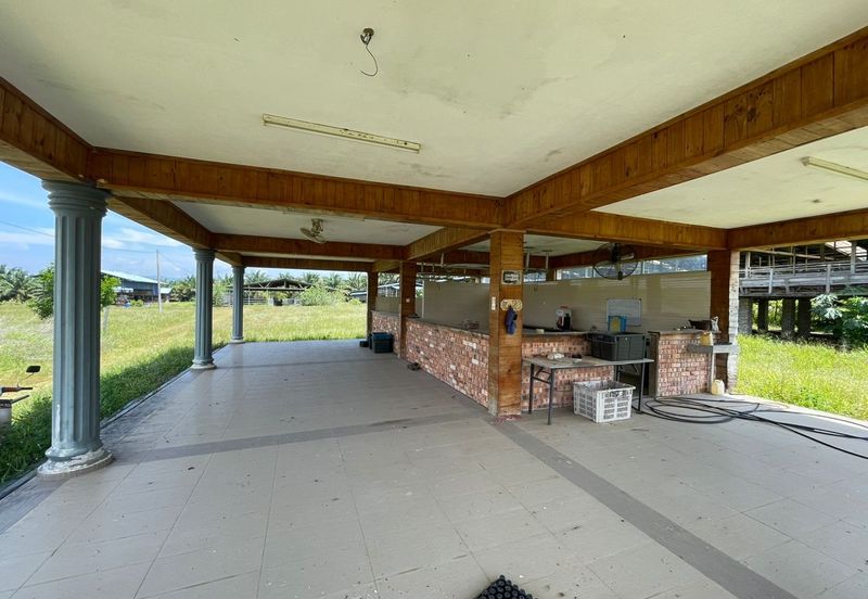 Agricultural Land,  Ternakan Lembu Dan Kambing Secara Komersial