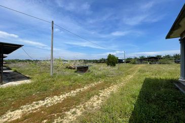 Agricultural Land,  Ternakan Lembu Dan Kambing Secara Komersial