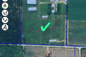 Agricultural Land,  Ternakan Lembu Dan Kambing Secara Komersial