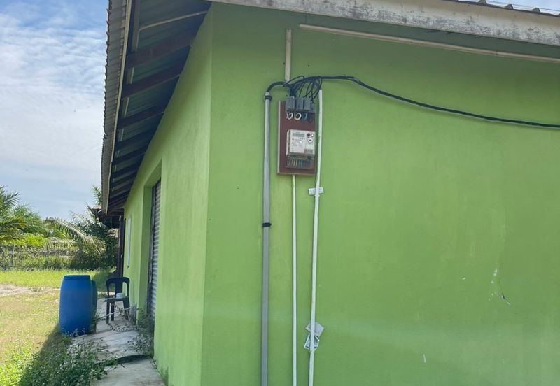 Agricultural Land,  Ternakan Lembu Dan Kambing Secara Komersial