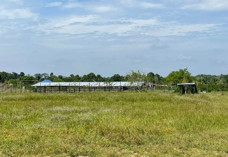 Agricultural Land,  Ternakan Lembu Dan Kambing Secara Komersial