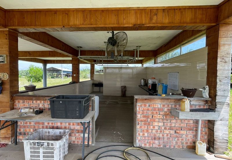 Agricultural Land,  Ternakan Lembu Dan Kambing Secara Komersial