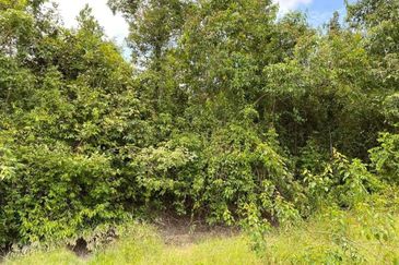 1160 KG Semangat 26600 Kuantan Pahang