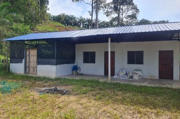 Tanah Pertaniaan Pokok Durian High Quality Area Gambang Kuantan